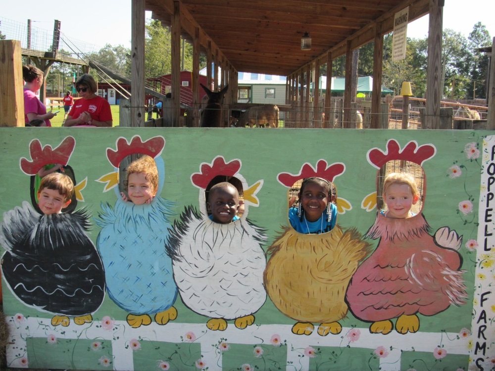 DAFFODIL Pre-K Students Enjoy Trip to Poppell Farms