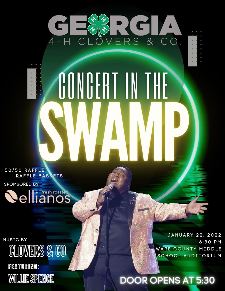 Concert in the Swamp
