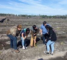 Replanting Begins at WCHS's Renovated Forestry Plot