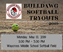 Softball Tryouts