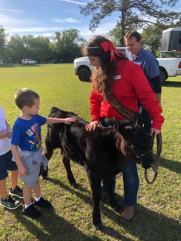 Student pets a calf