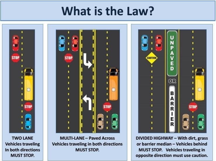 New Bus Law graphic